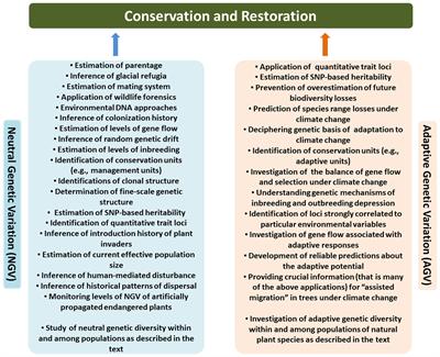 Frontiers | Neutral And Adaptive Genetic Diversity In Plants: An Overview